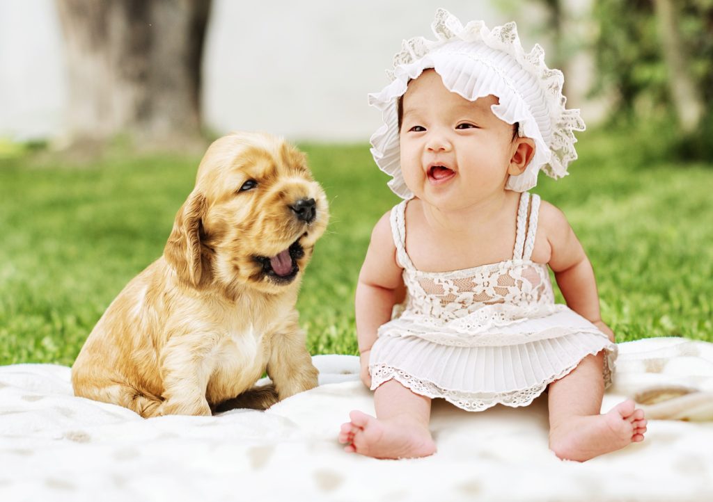Newborn baby with puppy