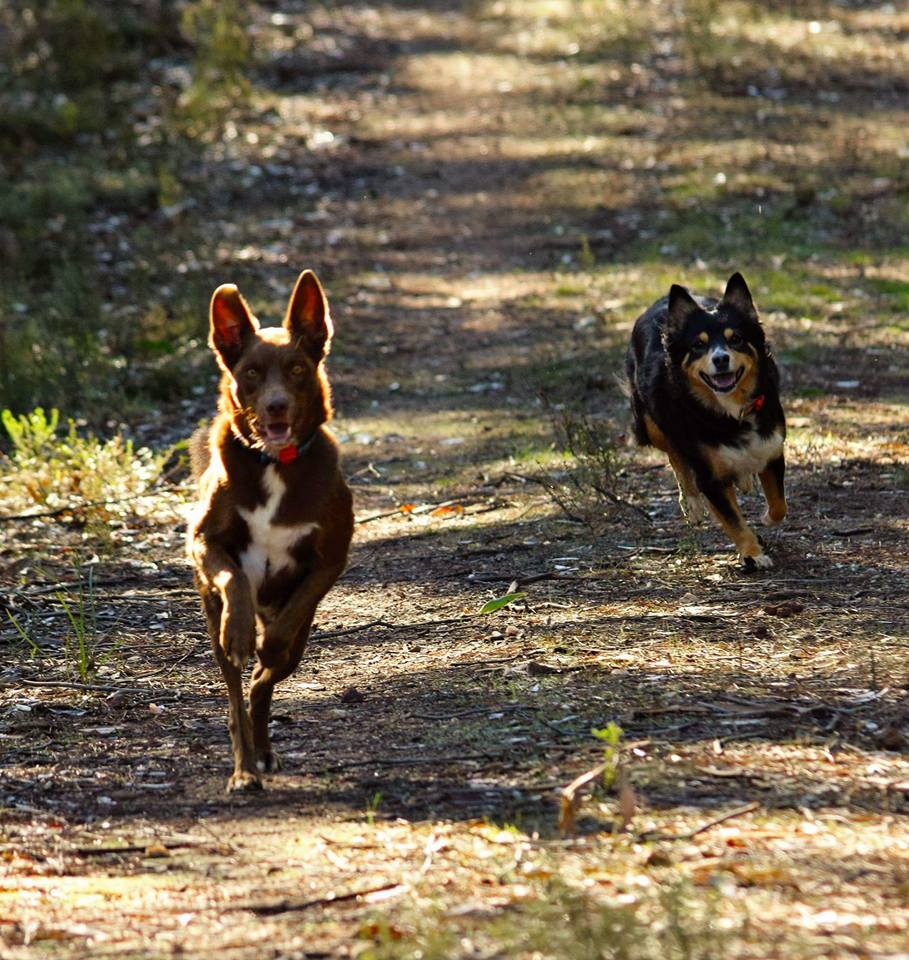 Erik and Riley running
