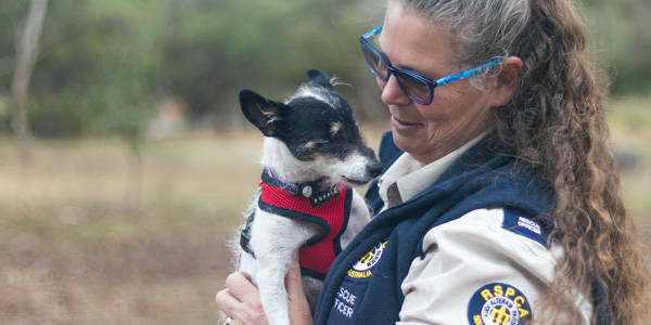 Animal rescue - RSPCA South Australia