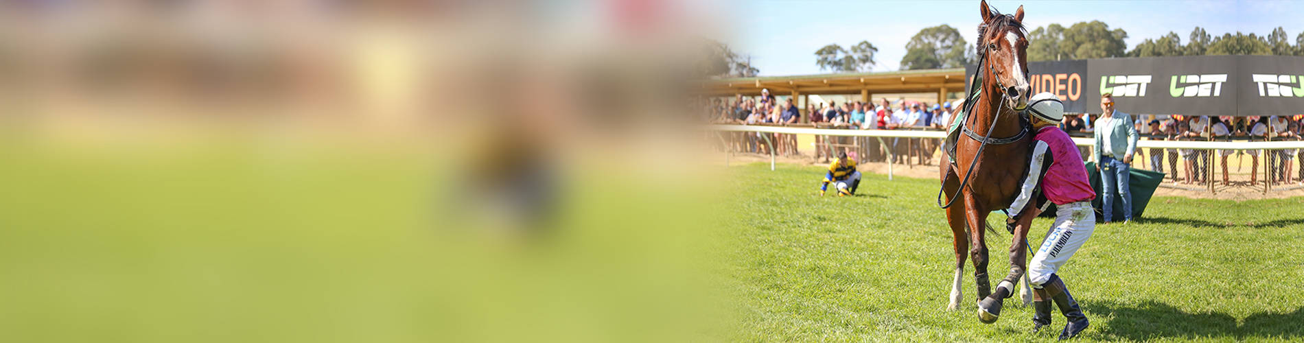 Jumps racing RSPCA South Australia