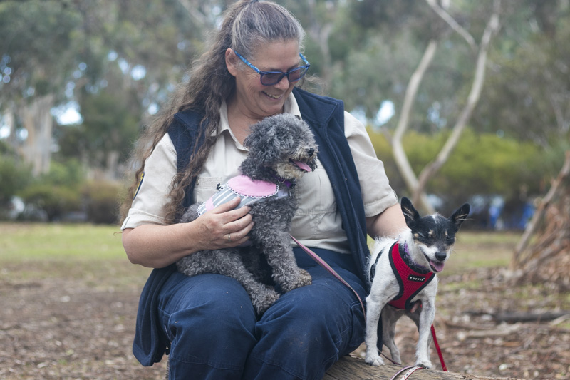 Rescue Officer Brigitte with Lolly and Sugar - photo Ryan Jiannis