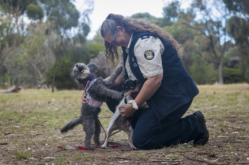 Rescue Officer Brigitte with Sugar and Lolly - photo Ryan Jiannis