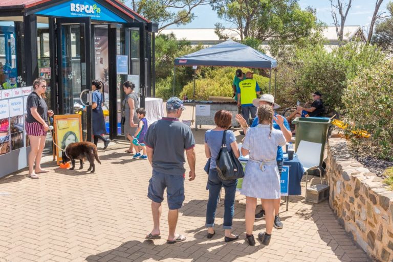 Animal Shelters in Adelaide RSPCA South Australia