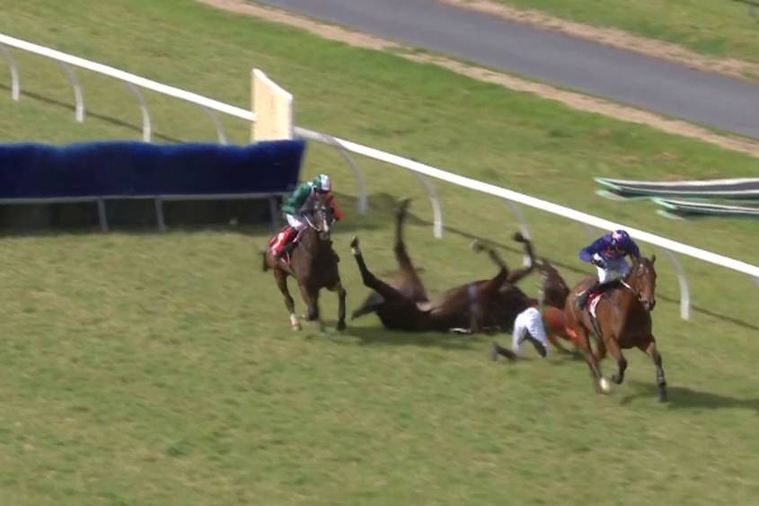 Jumps racing – RSPCA South Australia