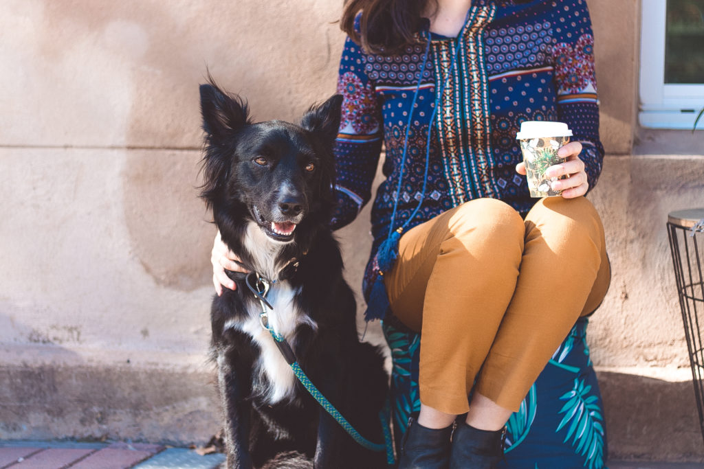 Adelaide’s best op shops Op Shops Near Me