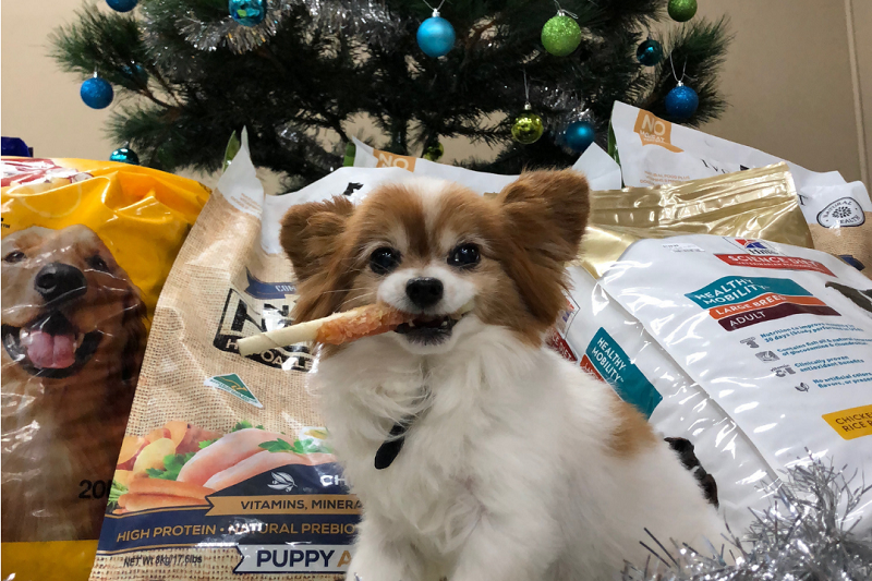 Christmas dog food donation call