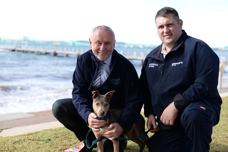 Plans for new Port Lincoln Animal Care Centre - RSPCA South Australia