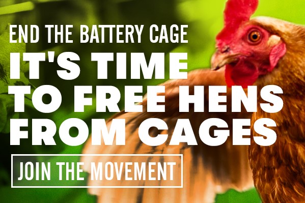 End the battery cage
