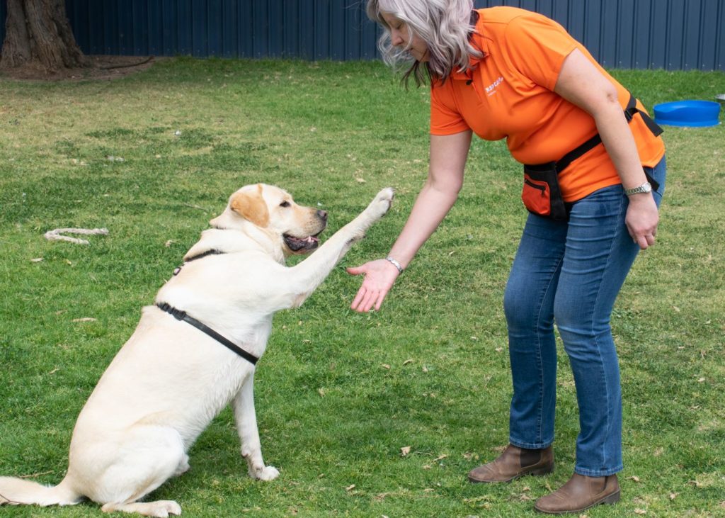 Lead by Example RSPCA South Australia