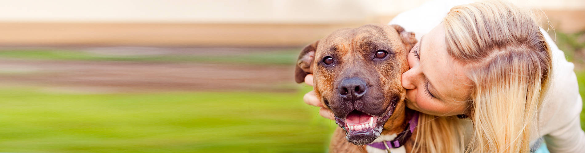 Shelters RSPCA South Australia
