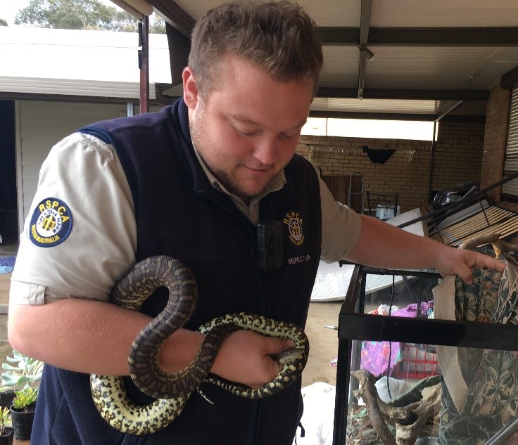 Snake bite warning for pet owners as mercury rises - RSPCA South Australia