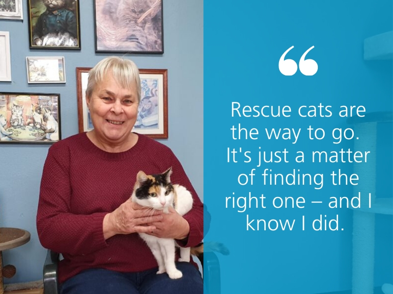 16 truly touching quotes of 2019 - RSPCA South Australia