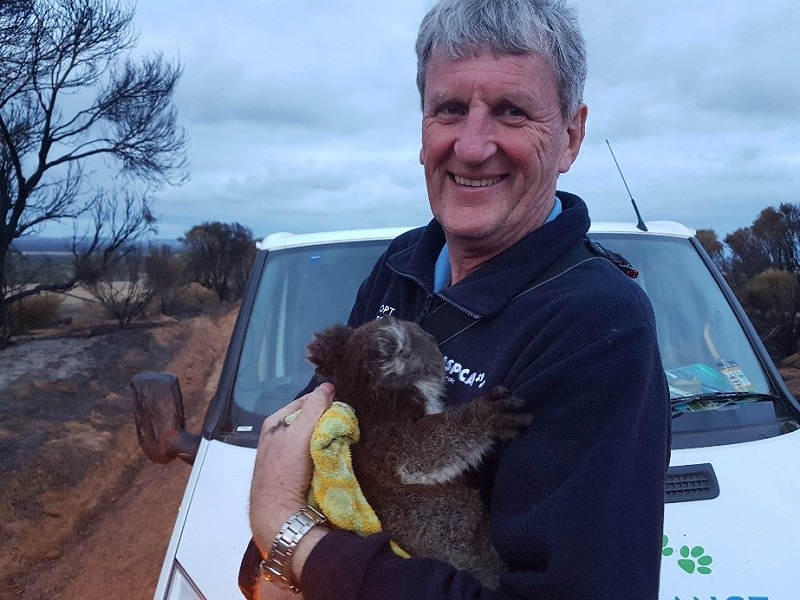 Brad and rescued koala