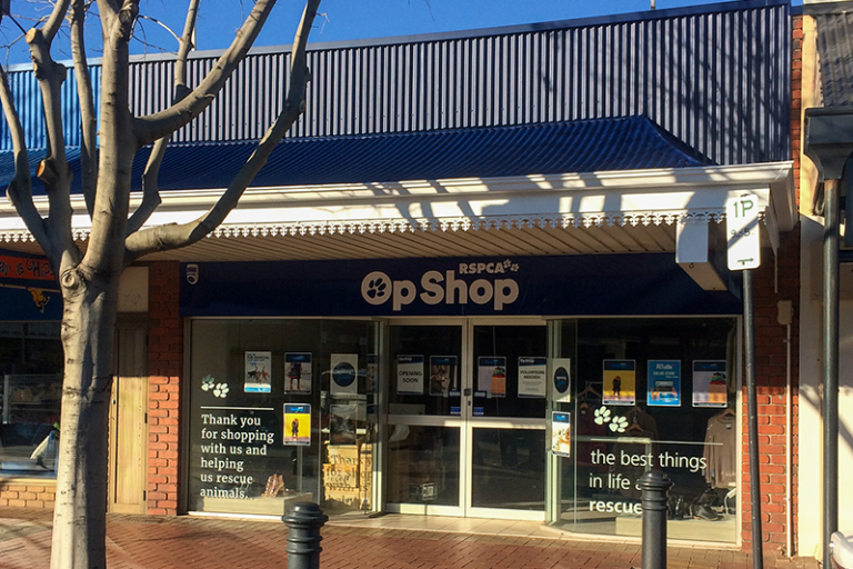 Shop & Save Lives Op Shops Adelaide RSPCA South Australia