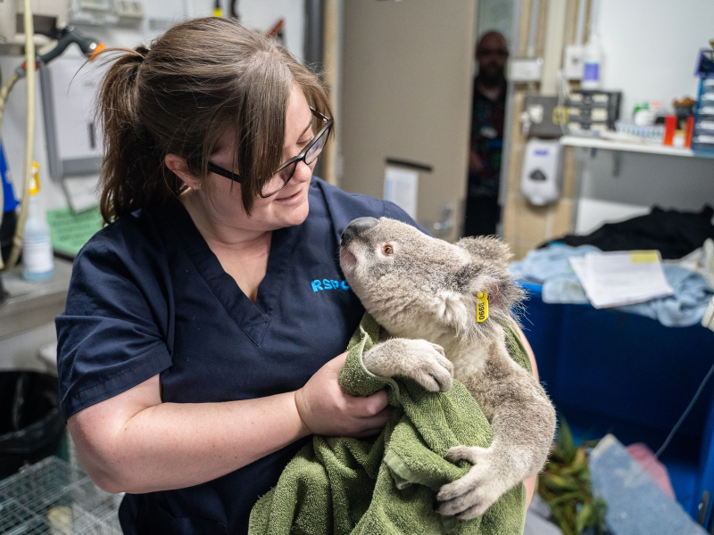 Animal Care campus update - RSPCA South Australia
