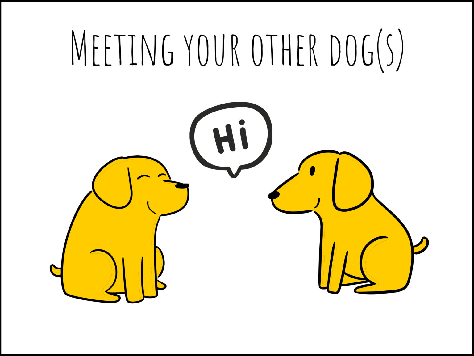 Image showcasing The Dog Adoption Handbook: Making Introductions - RSPCA SA
