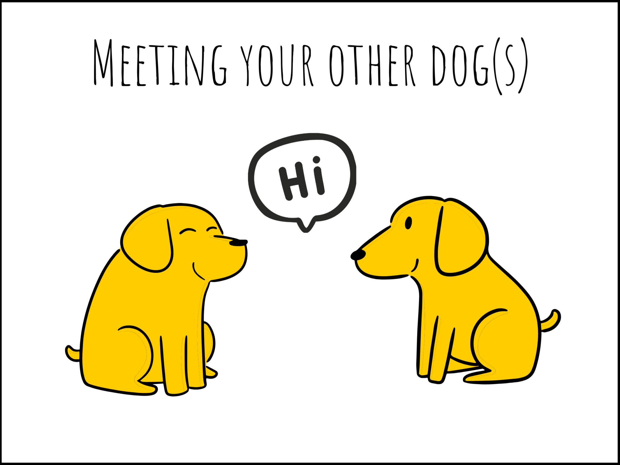 The Dog Adoption Handbook: Making Introductions - RSPCA South Australia