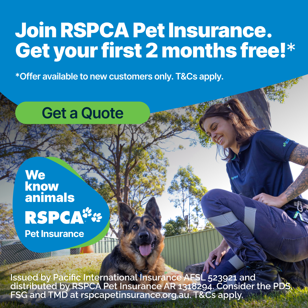 Nearest Rspca Animal Shelter in Adelaide | RSPCA South Australia